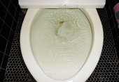 toilet_01.jpg