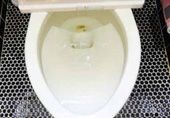 toilet_03.jpg